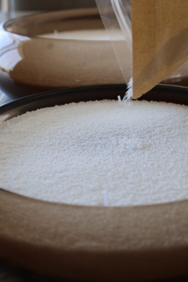 ⁦פניני שעווה⁩ – תמונה ⁦2⁩