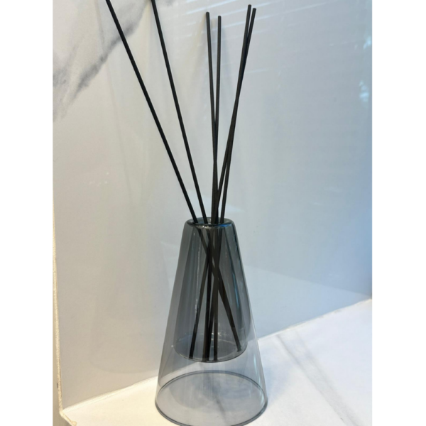 ⁦מפיץ פוקוס⁩ – תמונה ⁦3⁩